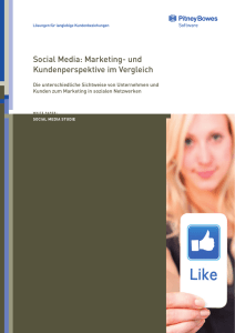 Social Media: Marketing- und Kundenperspektive im
