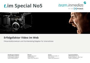 Erfolgsfaktor Video im Web
