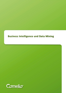 Business Intelligence und Data Mining