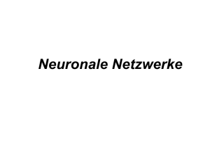 Neuronale Netzwerke