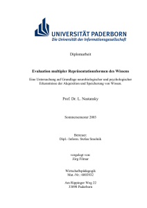 Diplomarbeit Evaluation multipler Repräsentationsformen des