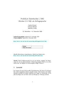 Praktikum Datenbanken / DB2 Wochen 2