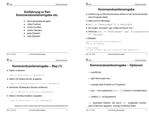 Einführung in Perl Kommandozeileneingabe etc