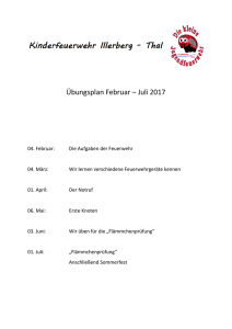 Übungsplan Februar – Juli 2017 - Freiwillige Feuerwehr Illerberg-Thal