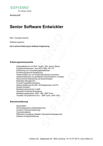 Senior Software Entwickler