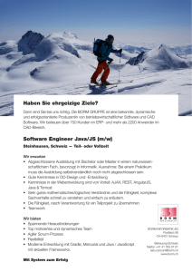 Software Engineer Java/JS (m/w) - BORM