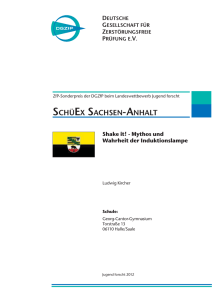 Deckblatt Sachsen-Anhalt.indd