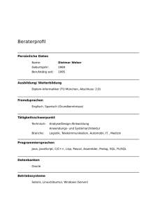 Beraterprofil - freiberuflicher Java Entwickler