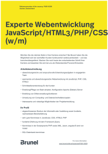 Experte Webentwicklung JavaScript/HTML3/PHP/CSS (w/m)