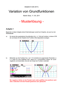 Variation von Grundfunktionen - Musterlösung -