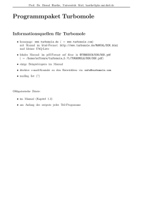 Programmpaket Turbomole - Bernd Hartke