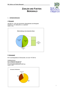 zahlen und fakten: bergwald