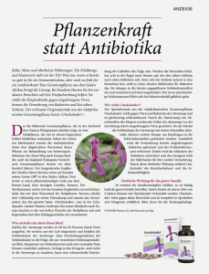 Pflanzenkraft statt Antibiotika