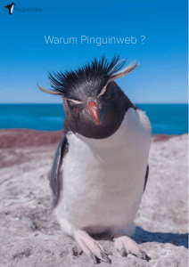 Broschüre - Warum Pinguinweb
