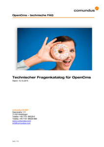 Technischer Fragenkatalog für OpenCms