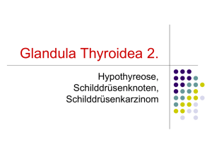 Glandula Thyroidea 2.