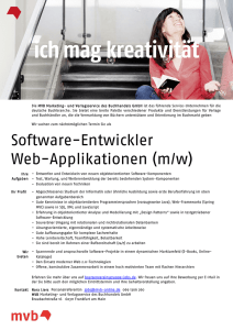 Software-Entwickler Web