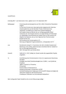 PDF: newsOFFstyria Konzeptpapier