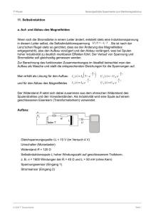 T3 Elektromagnetismus v5.indd