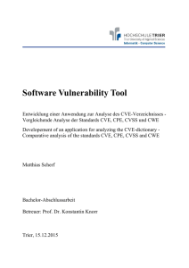 Software Vulnerability Tool