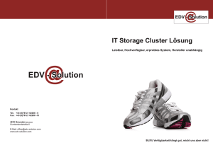 IT Storage Cluster Lösung - EDV