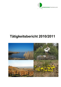 Tätigkeitsbericht 2010-11_endgültige Version