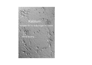 Kalzium