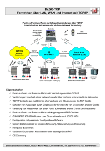 DxGO-TCP Fernwirken über LAN, WAN und Internet mit TCP/IP