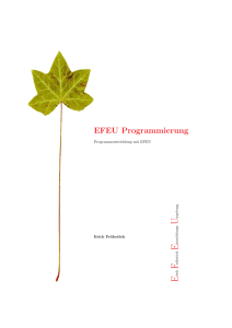 EFEU Programmierung