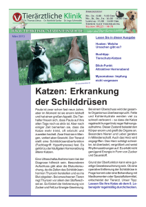 Ausgabe März 2013 - Tierklinik Stadtsteinach