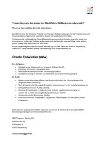 Oracle Entwickler (m/w) - NKK Programm Service AG
