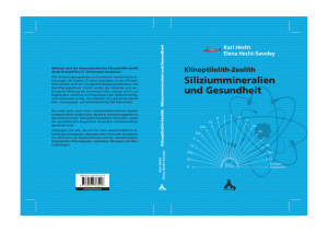 Buch Silizium - Spurbuchverlag