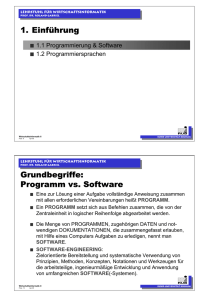 Programm vs. Software - Wirtschaftsinformatik - Ruhr