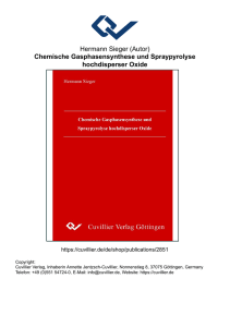 Chemische Gasphasensynthese und Spraypyrolyse hochdisperser