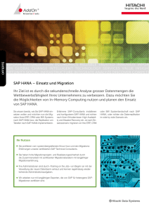 SAP HANA – Einsatz und Migration Transform VirTualizaTion