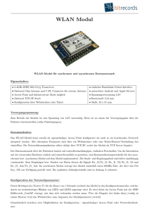 BitRecords WLAN Modul