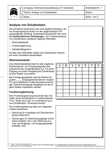 Analyse von Schaltnetzen