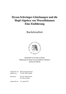 Dyson-Schwinger-Gleichungen und die Hopf