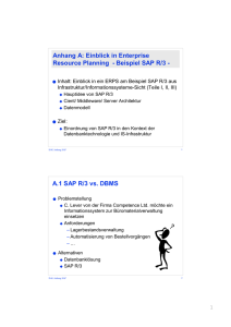 Beispiel SAP R/3