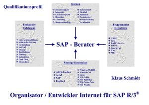 SAP - Berater Organisator / Entwickler Internet für SAP R/3