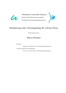 Realisierung einer Testumgebung für Ad-hoc-Netze