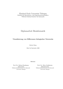 Visualisierung von Differenzen biologischer Netzwerke