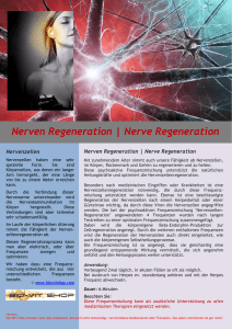 Nerven Regeneration | Nerve Regeneration