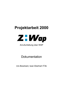 Projektarbeit 2000