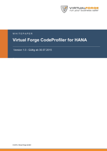 Virtual Forge CodeProfiler for HANA