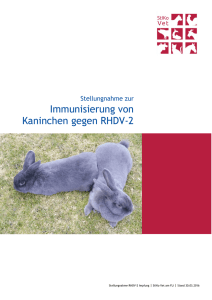 Stellungnahme zur Immunisierung von Kaninchen gegen RHDV