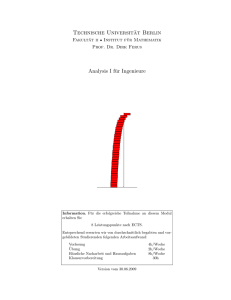 Technische Universität Berlin - homepages.math.tu