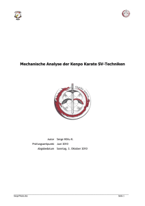 Mechanische Analyse der Kenpo Karate SV
