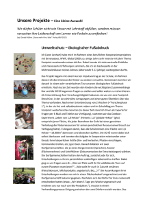 Einblick in unsere Projekte