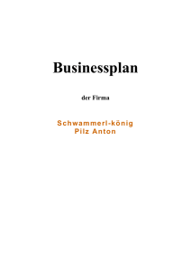 Businessplan